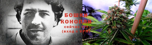 первитин Абинск